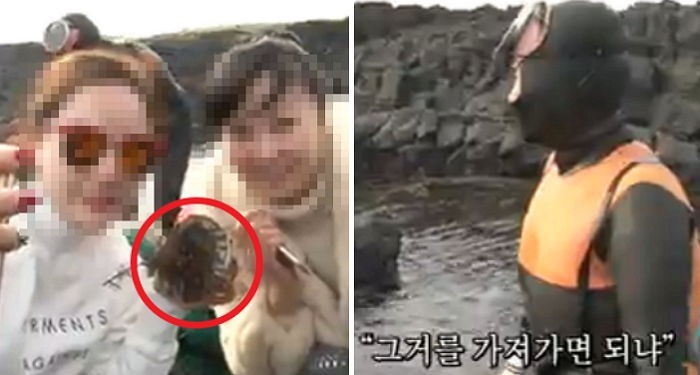 제주도 해녀 할머니 전복 훔쳐간 중국 여자들 ㅎㄷㄷ | 인스티즈