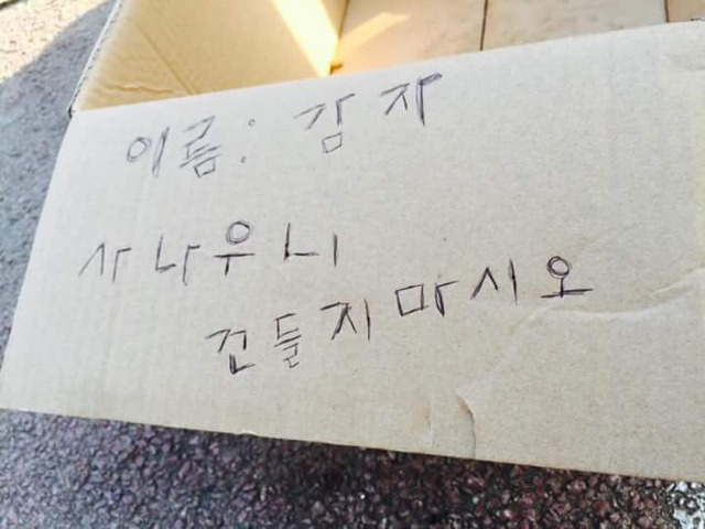 안녕하세오 멍멍이 조심해주세오.jpg | 인스티즈