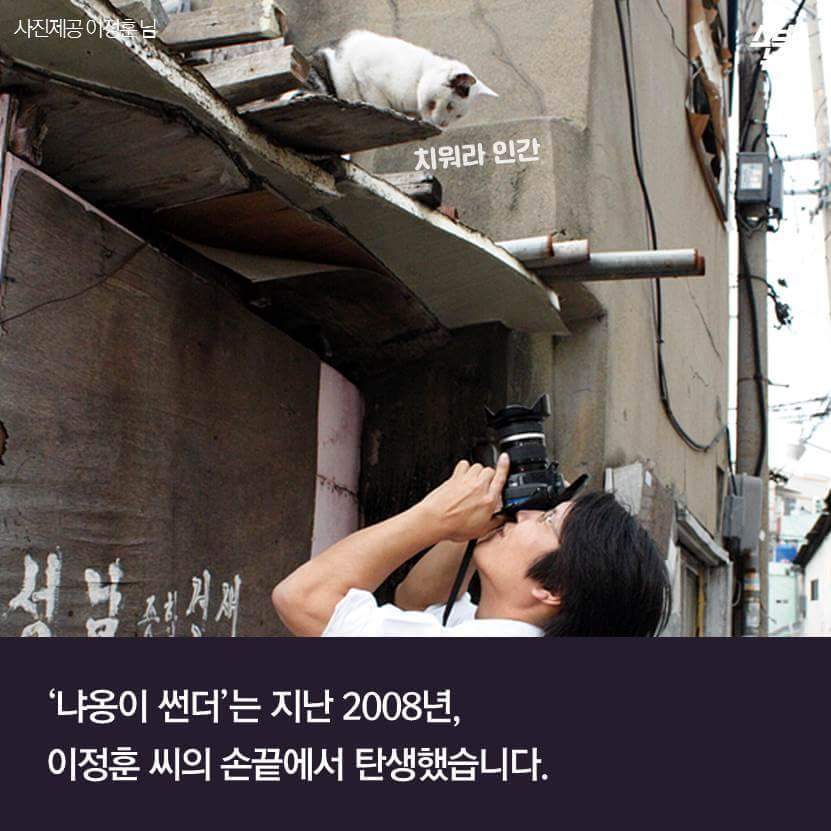 지구촌 짤 '냐옹이 썬더'의 비밀 | 인스티즈