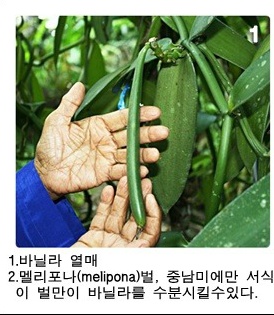 의외로 몰랐던 사람들이 좀 있는 사실 | 인스티즈