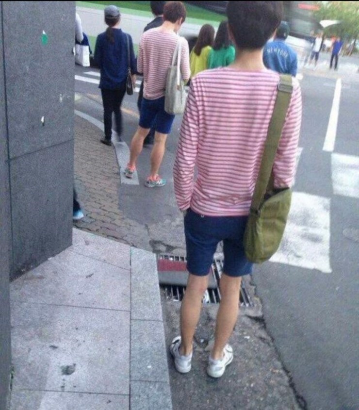 클론 왕국 대한민국.jpg | 인스티즈