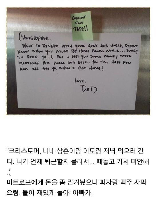 돈 맡아주는 고양이 | 인스티즈