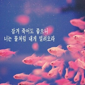 당신 생각을 켜 놓은 채 잠이 들었습니다 | 인스티즈