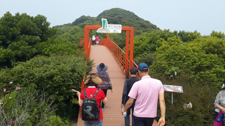 통통배 이미지