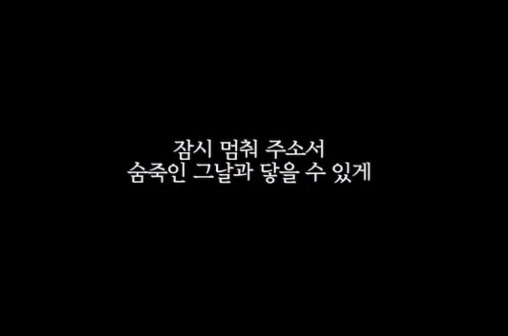  벚꽃이 흩날리며 아픔을 위로하는 제주의 4월 | 인스티즈