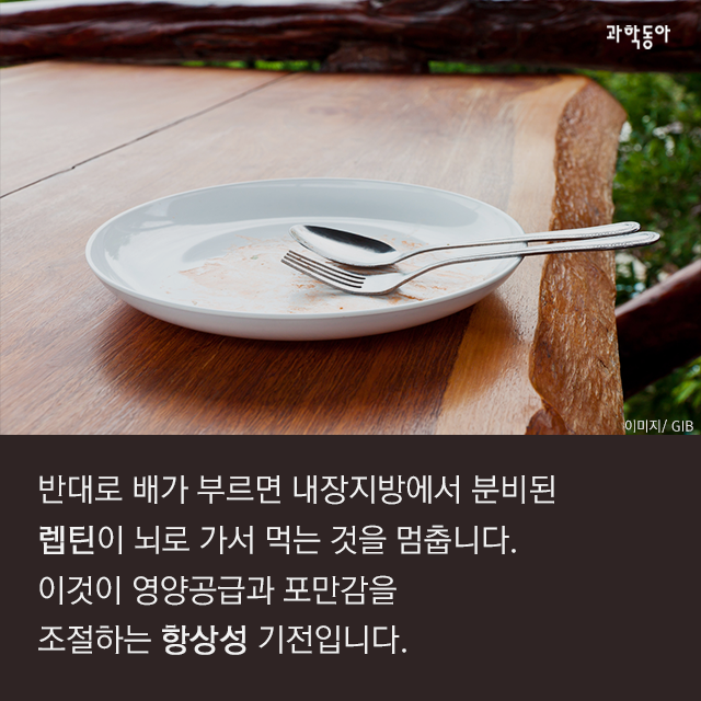 살 빼려고 굶었는데 음식 중독이라고?! | 인스티즈