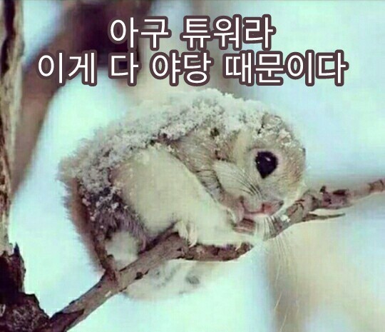 이게 전부 야당 때문이다!+자한당 때문이다!+언론(조중동한경오)때문이다!+짤 추가 | 인스티즈