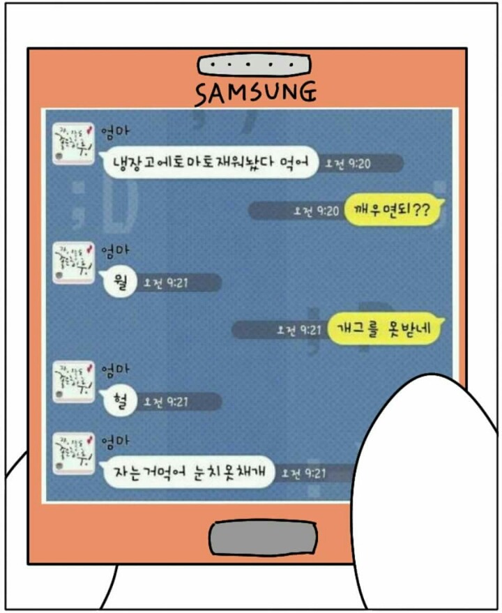 냉장고에 토마토 재워놨으니까 먹어 | 인스티즈