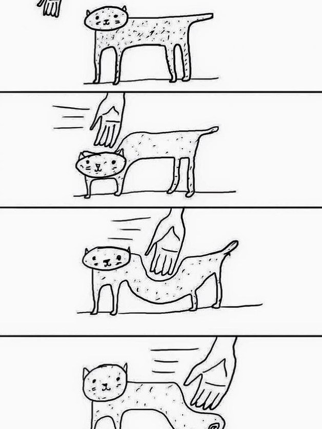 고양이 만질때 공감.jpg | 인스티즈