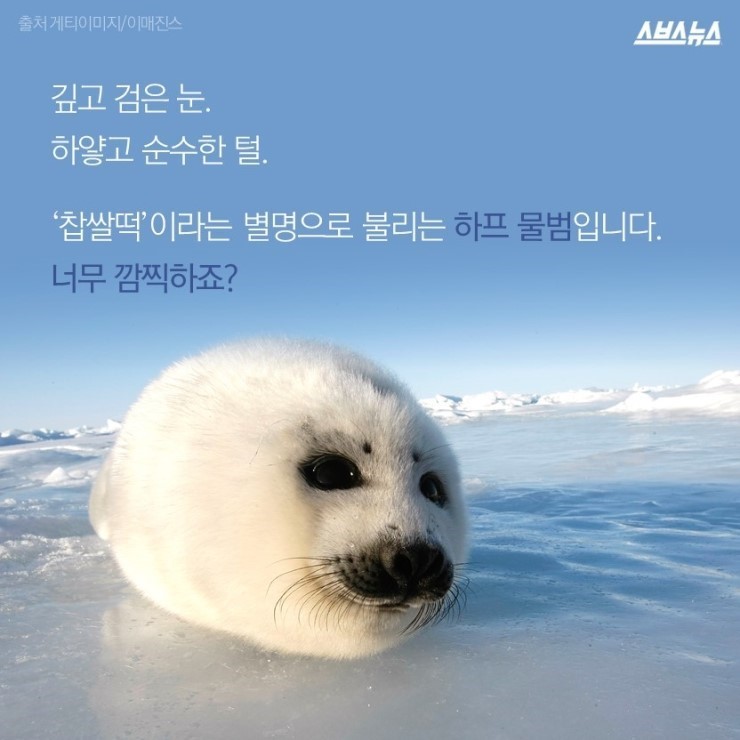  코리아 미워요 | 인스티즈