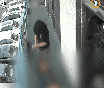 한인타운 망치폭행범 | 인스티즈