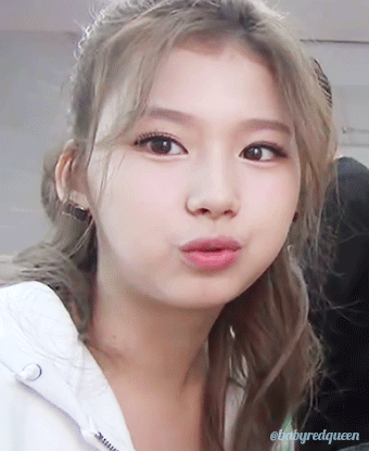 [트와이스] 큐트력만렙인 햄찌 사나 | 인스티즈