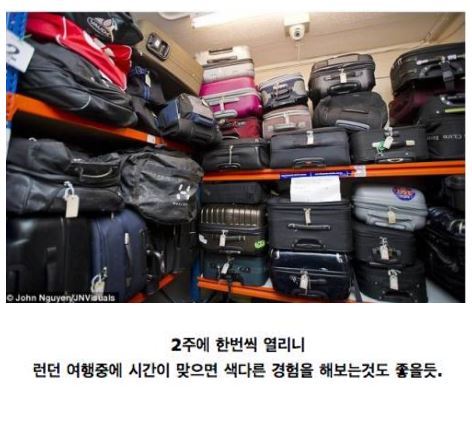 영국의 이색 경매장 | 인스티즈