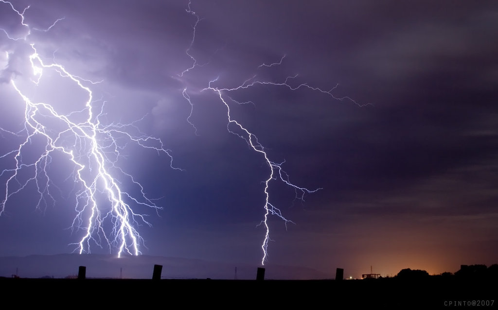서로 이해하기 힘든 감정류 甲 | 인스티즈