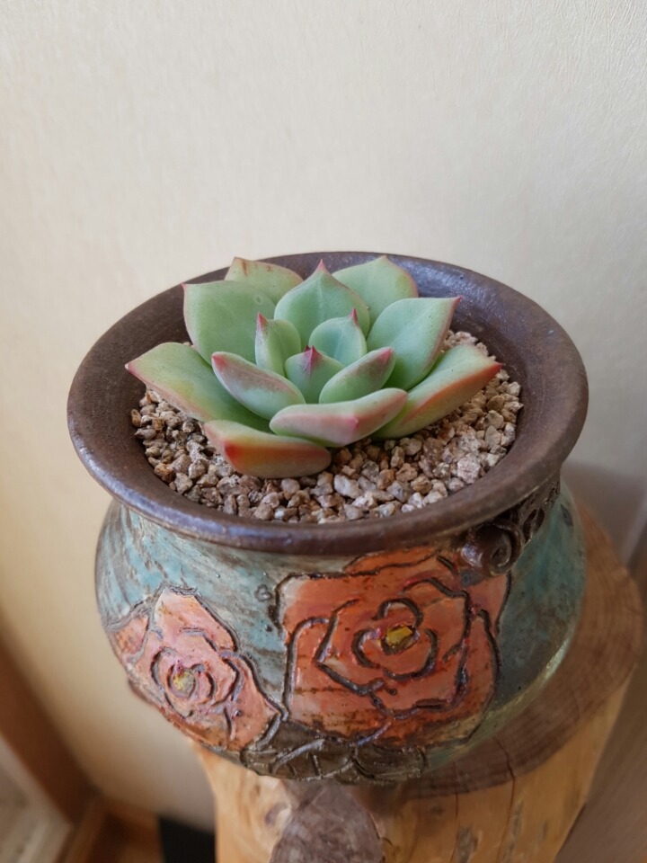 센세이션 이미지