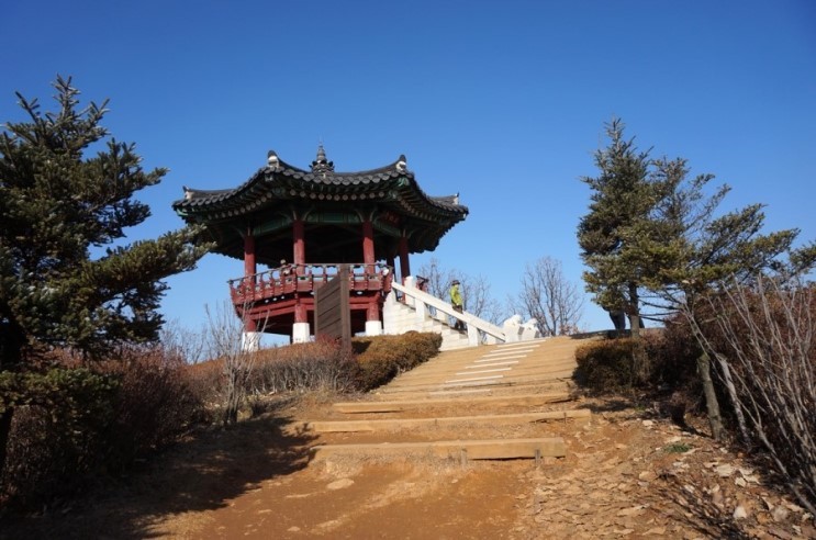 안서초등학교 이미지
