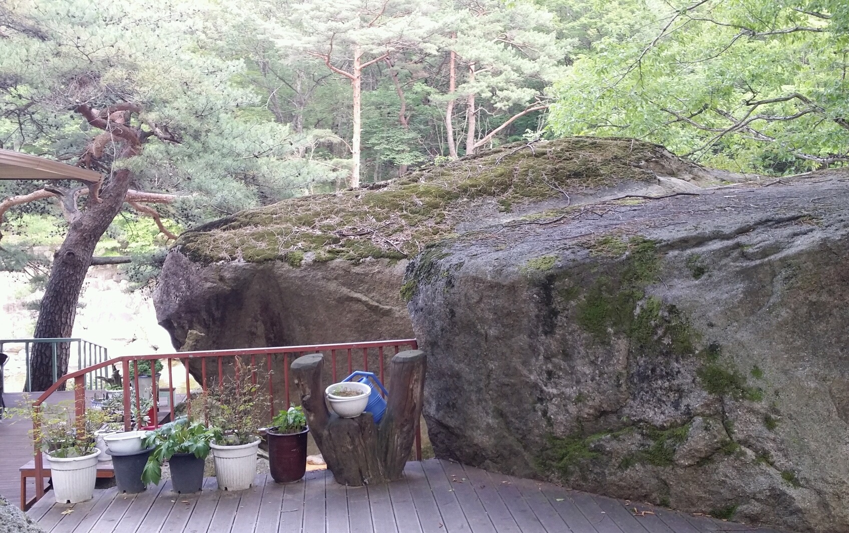도락산장 이미지
