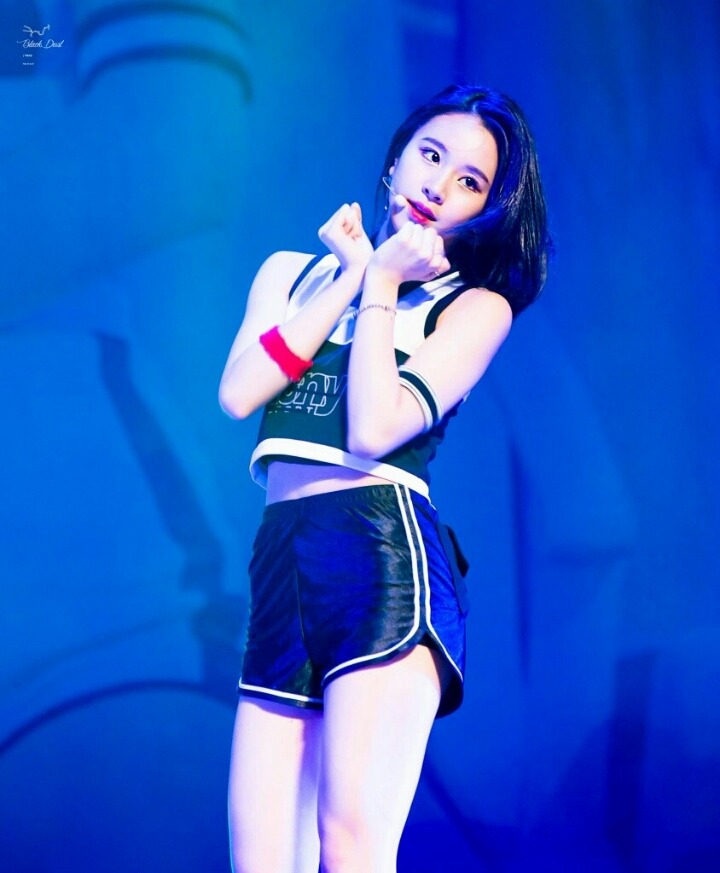[트와이스] 스페셜 팬미팅 모음 | 인스티즈