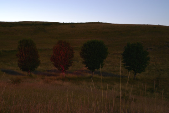  우리는 없을 거야 | 인스티즈