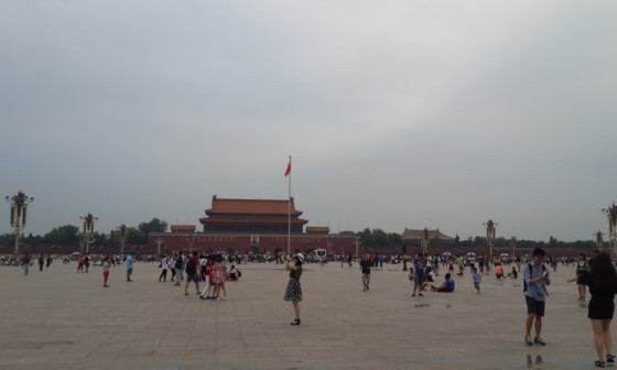 CSC컨설팅 이미지