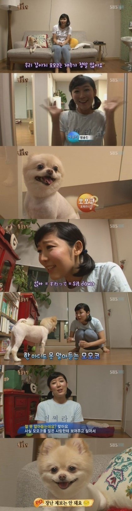 동물농장 허위제보 레전드 | 인스티즈