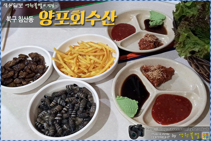 동네수산 이미지