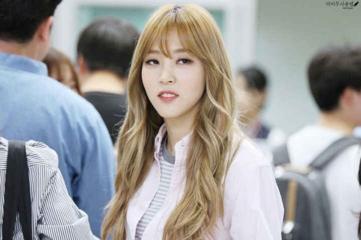 별콩 이미지