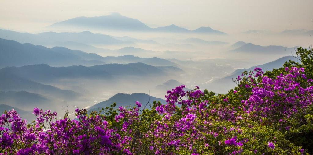 바람의속삭임 이미지