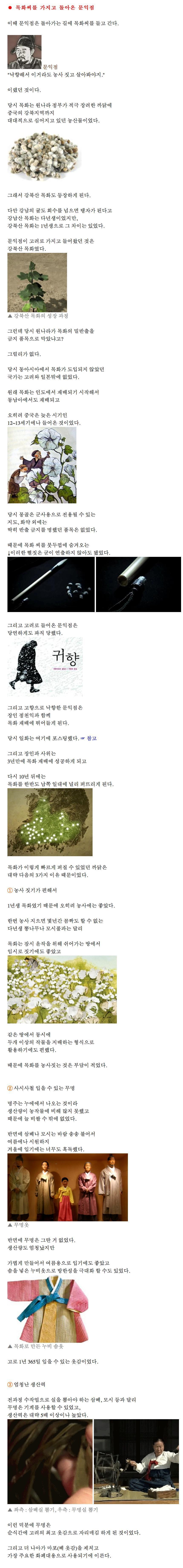  문익점에 대해 알아보자 | 인스티즈