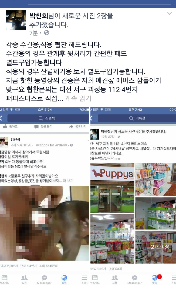오늘 논란이 되었던 페이스북 강아지수간, 동물학대사건 정리 | 인스티즈