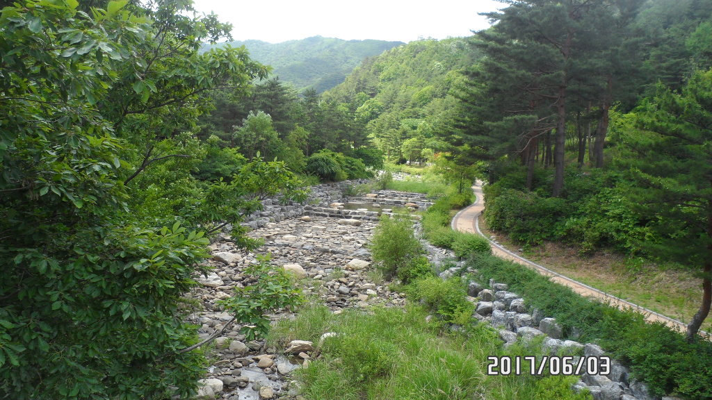 강릉솔향수목원 이미지