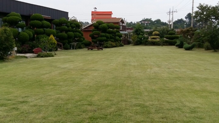 섬마을농수산물 이미지