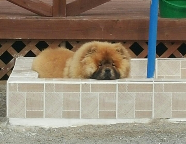 에스더 이미지