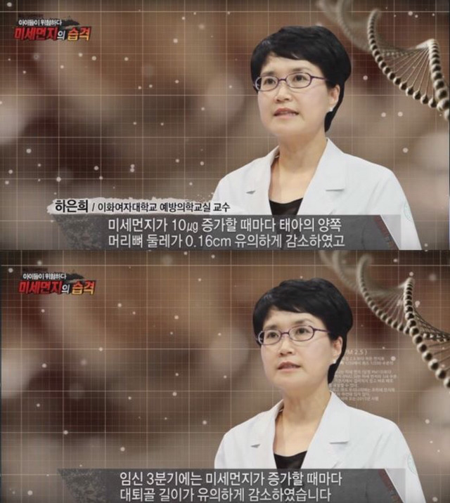 미세먼지의 위험성 | 인스티즈