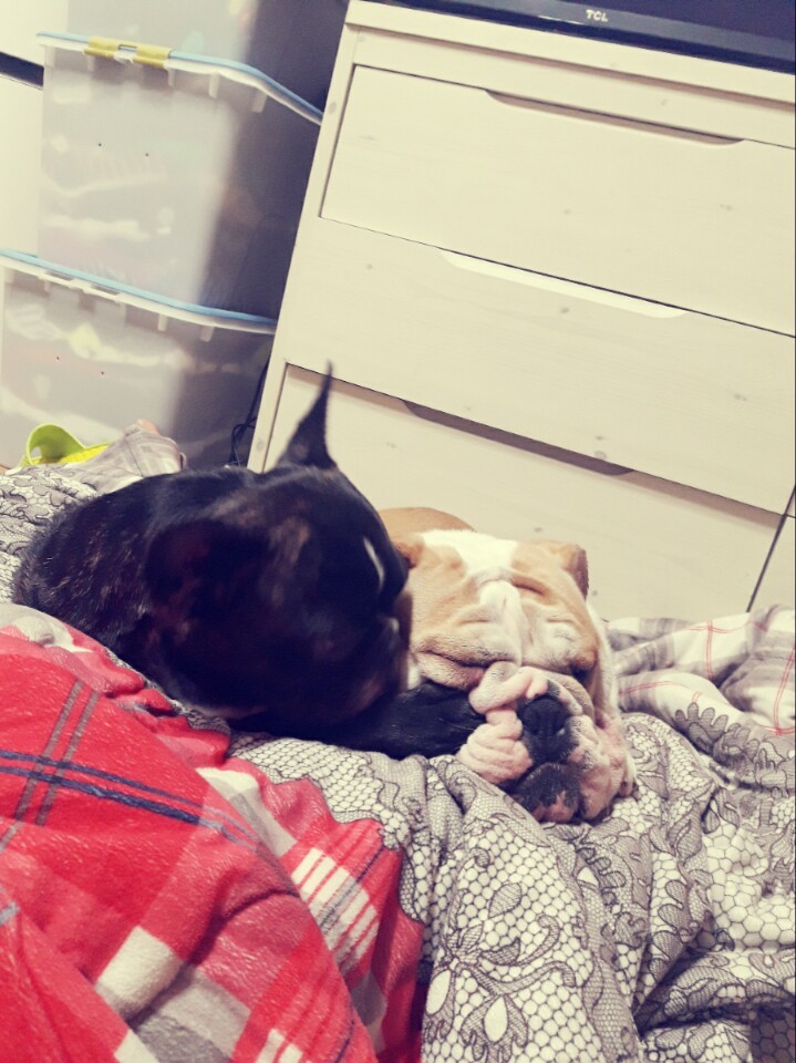엣찌 이미지