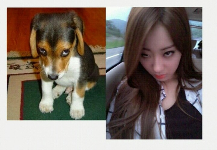 옴퓨 이미지