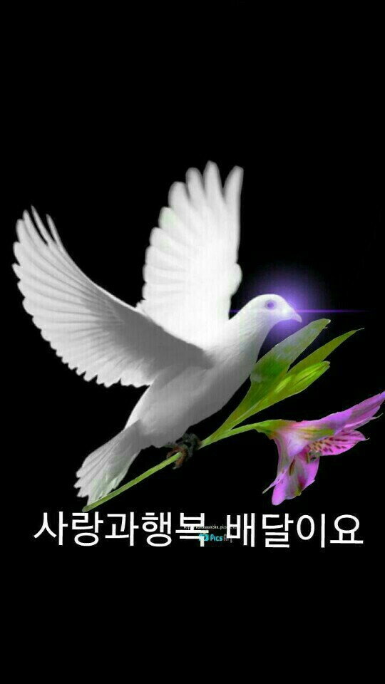 아이넷 이미지