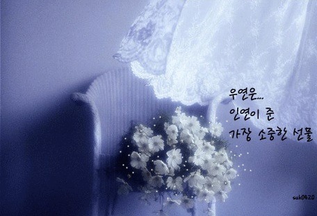 애가타 이미지