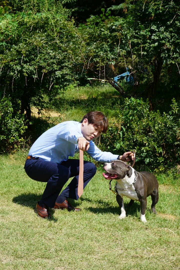 부야와 이미지