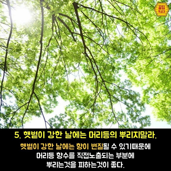 향수 제대로 뿌리는 7가지 방법 | 인스티즈