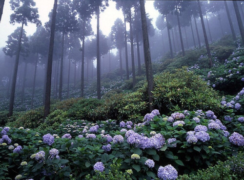 죽어도 좋겠다 생각했다 | 인스티즈