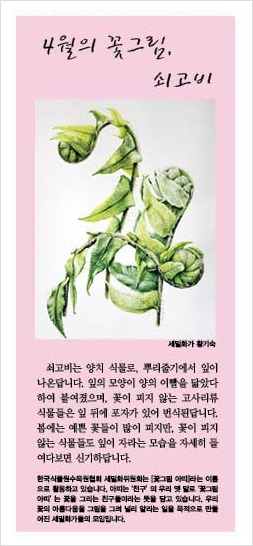 여럿이함께 이미지