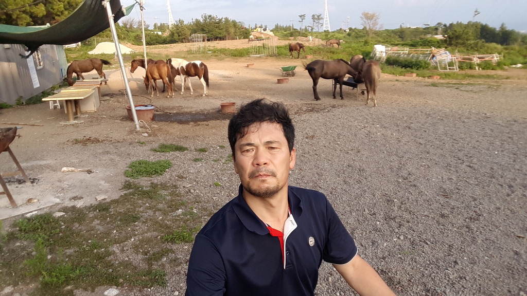 팔마장 이미지