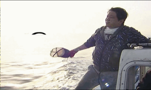 [무한도전] 5인 3색.gif (움짤주의) | 인스티즈
