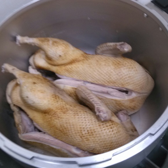 황칠오리 이미지