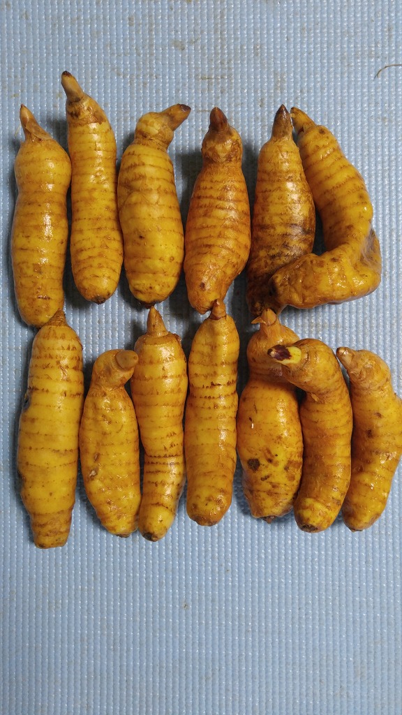 천마통신 이미지