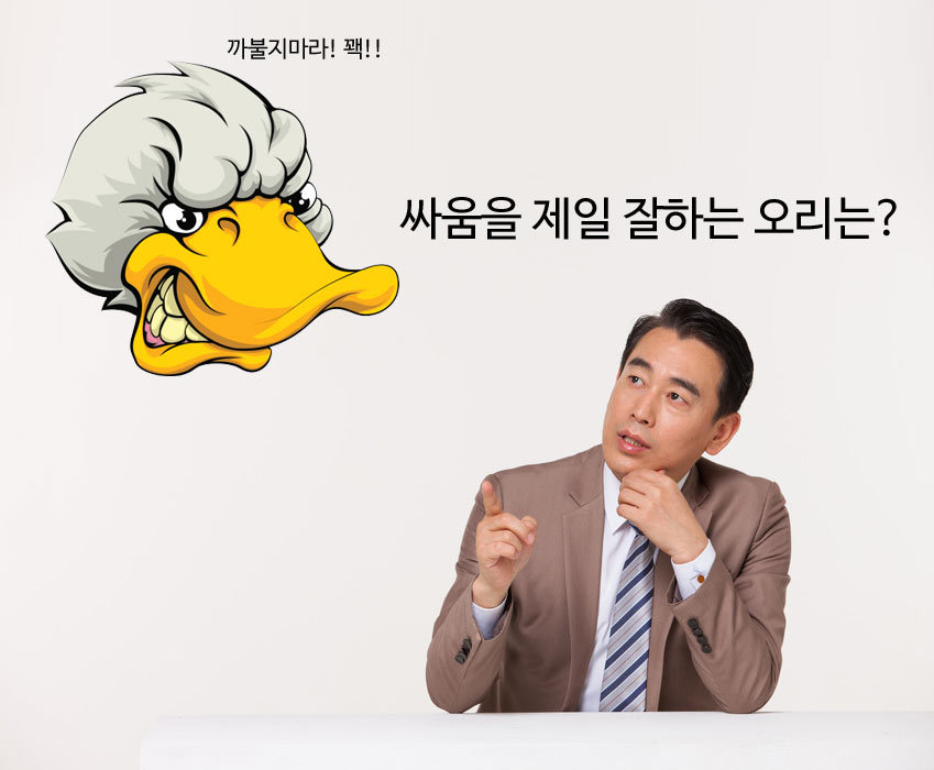 7개의 유머 중 최소 하나는 웃김 | 인스티즈