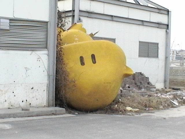 꿈돌이 이미지
