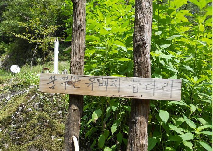 꿈꾸는유배지늡다리 이미지