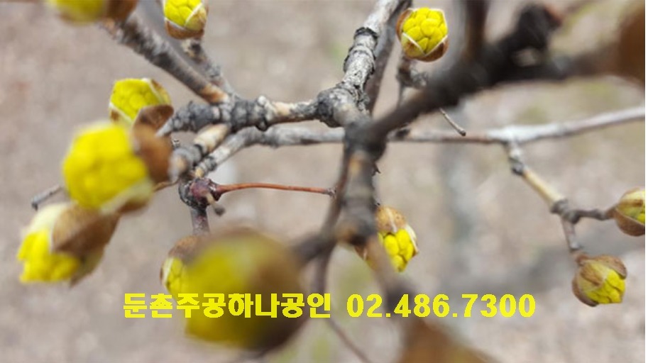 (주)동향 이미지